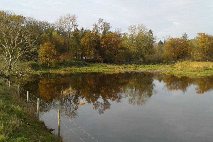 Land-Ferienhaus - foto 28