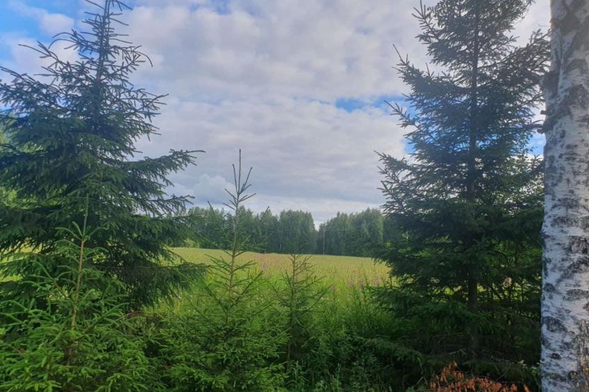 Gemütliches Ferienhaus Angermanland - höga Kusten - foto 21