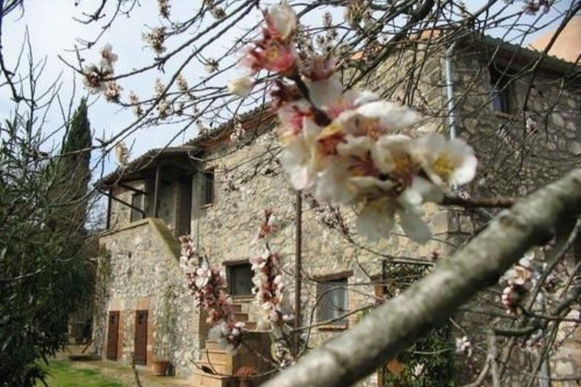 Casa Erika - foto 16