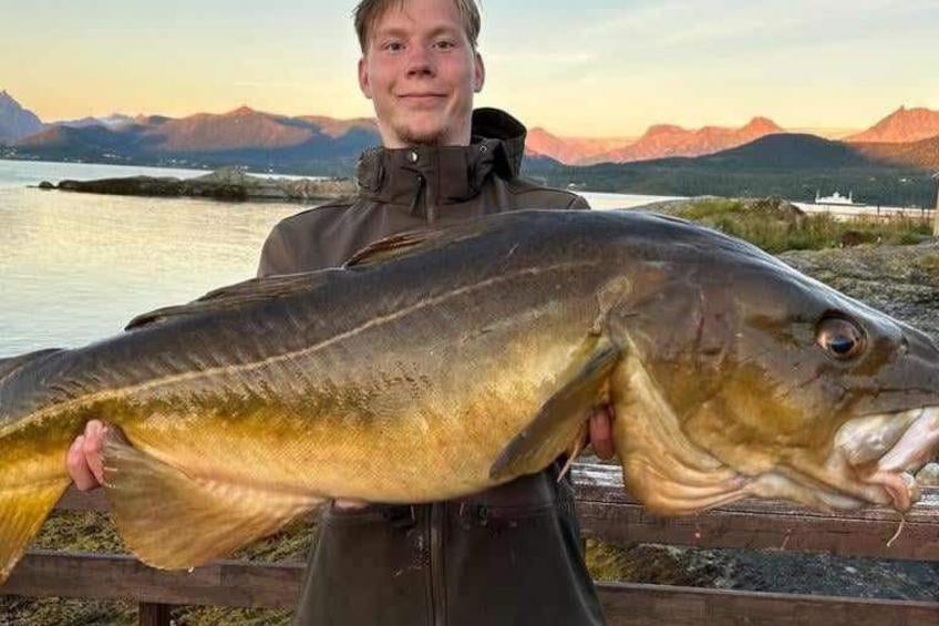 Meløy Naturopplevelser Tømmervik - foto 38