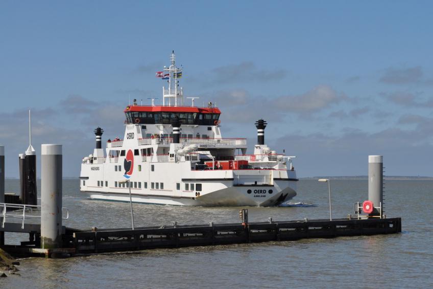 "Wad und Wal" mit Schwimmbad - foto 14