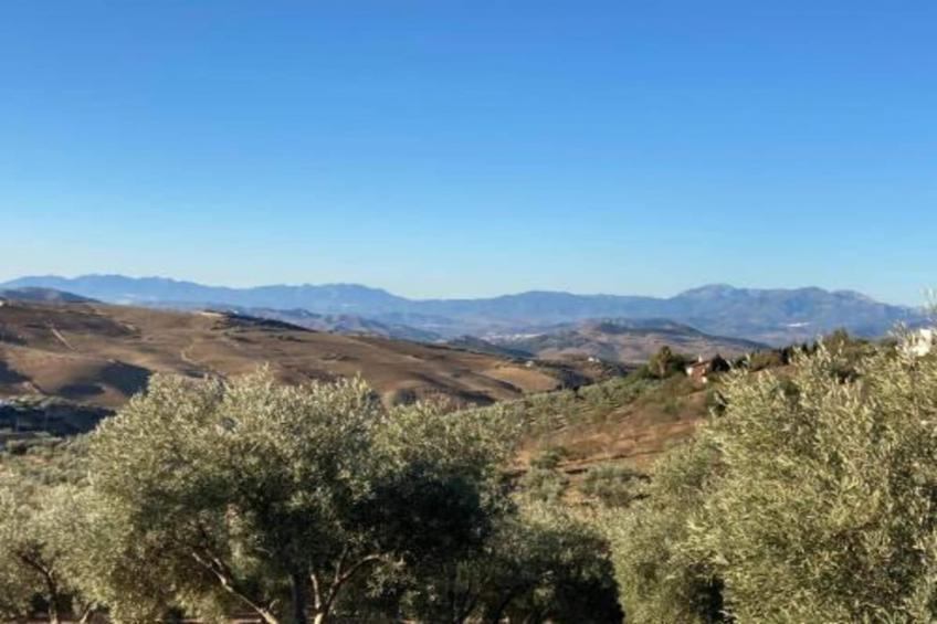 Casa Villa Campito - foto 30