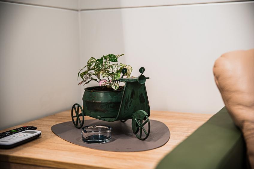 Lake Serenity Premium Mobile Homes with Thermal Riviera Tickets - Twho Bedroom Mobile Home 15\/013