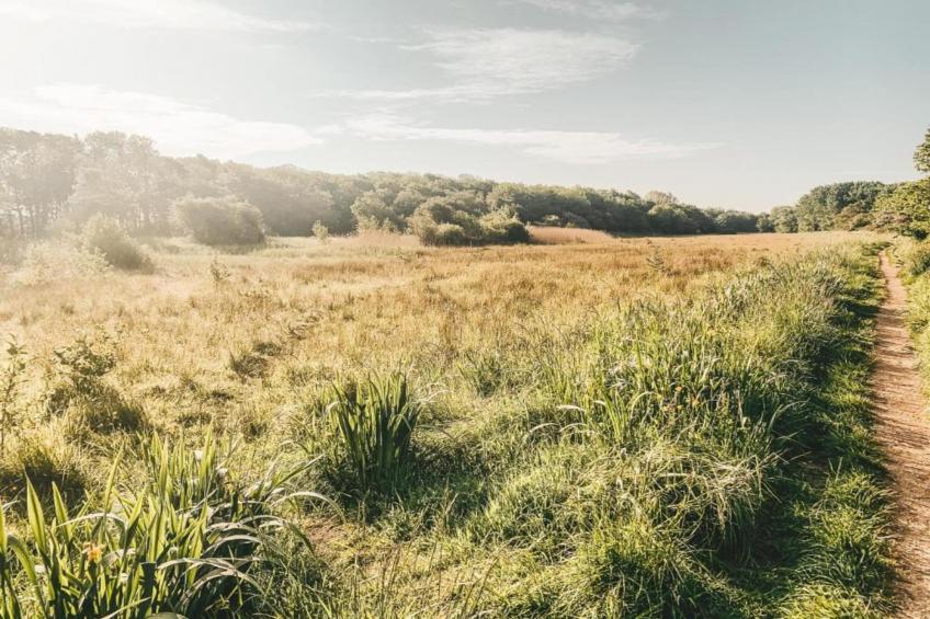 Vakantiepark Duinzicht 9 - foto 34