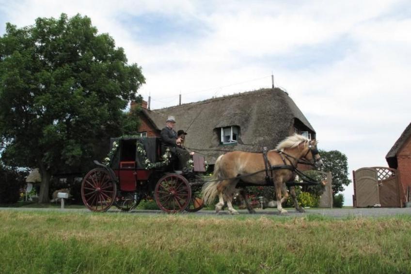 mit Terrasse - foto 21