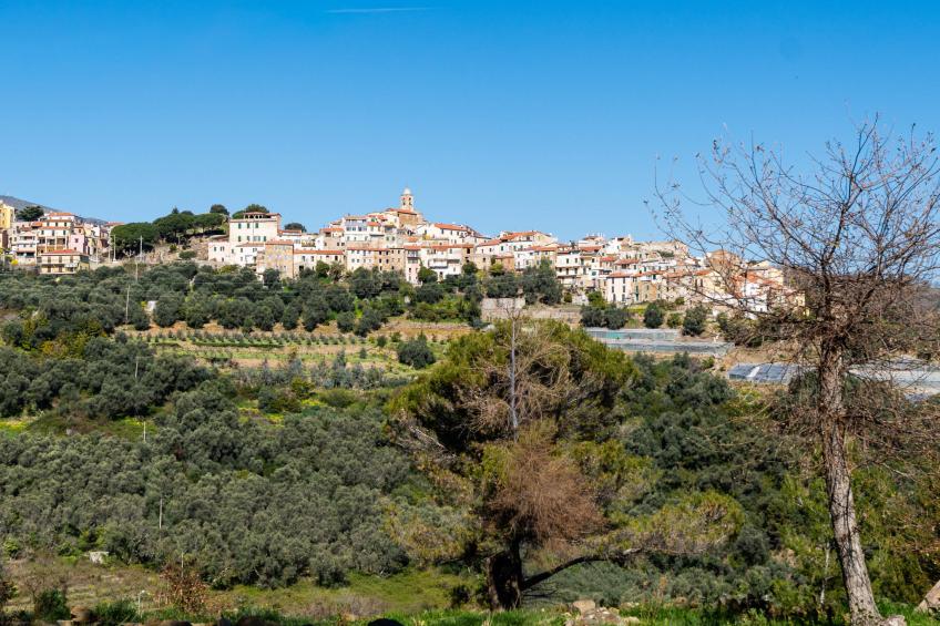 Ca de Panaia - foto 17