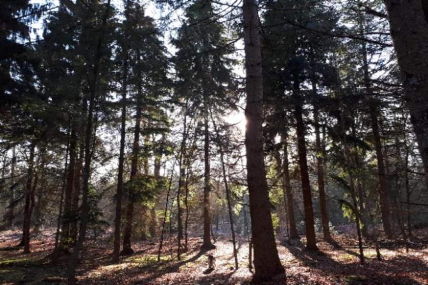 De Weide 4P - foto 26