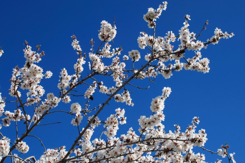 Schönes Landhaus mit Pool, Klimaanlage, Privatsphäre. - foto 40