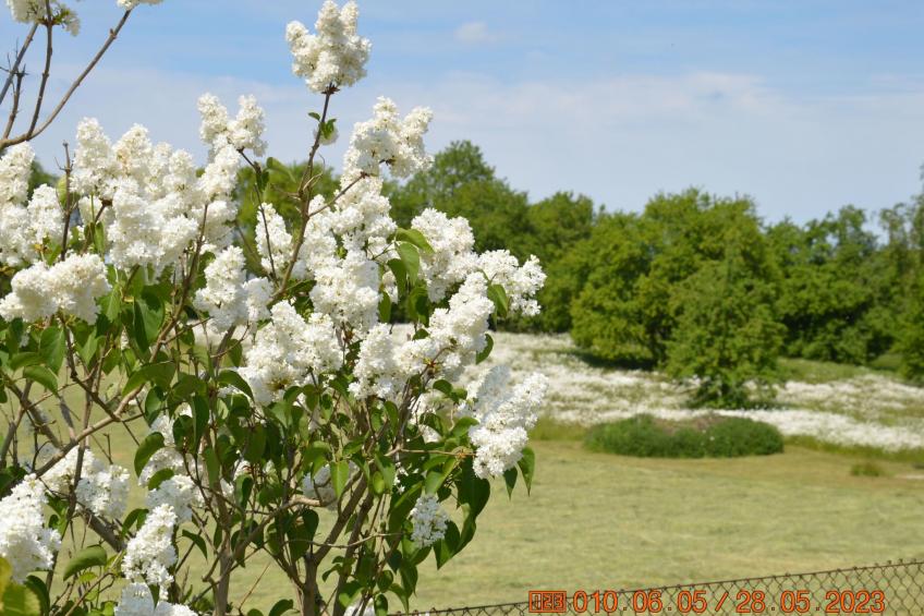 Büdnerei Cantnitz - foto 24