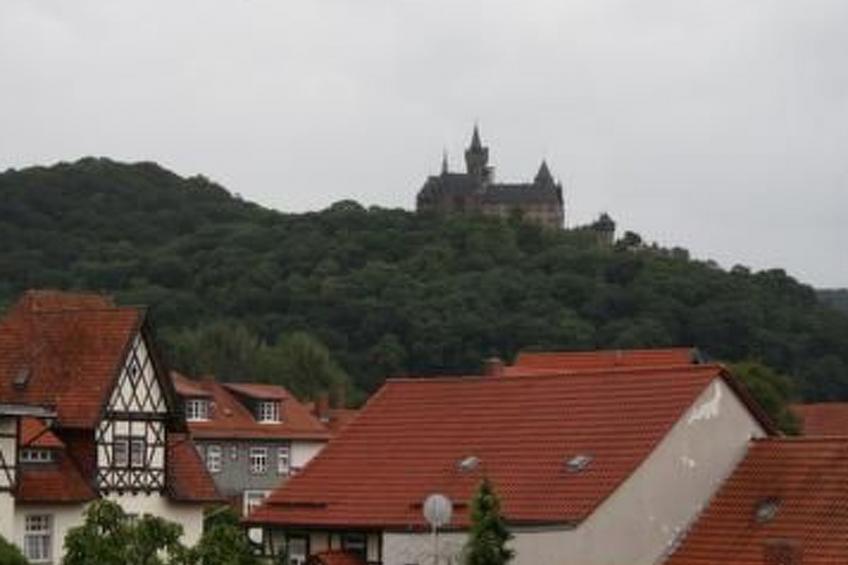 Gemütliche Wohnung in Wernigerode mit Garten - foto 22