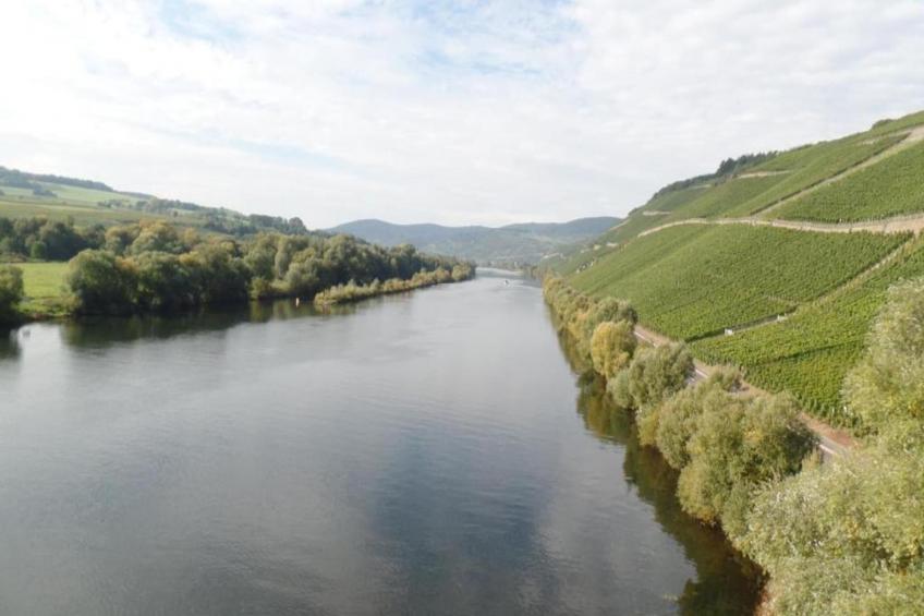 Ferienhaus der Saison an der Mosel - foto 31