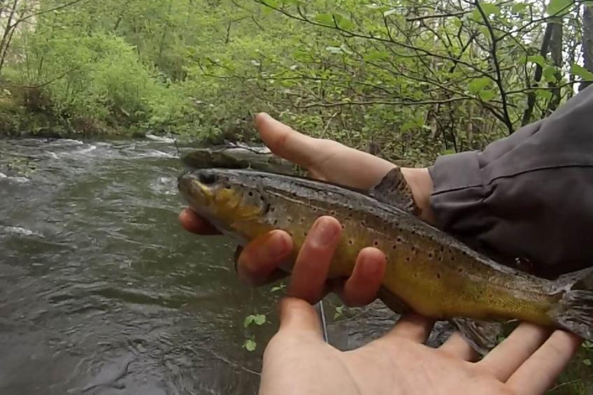Wassermühle am Fluss - foto 16