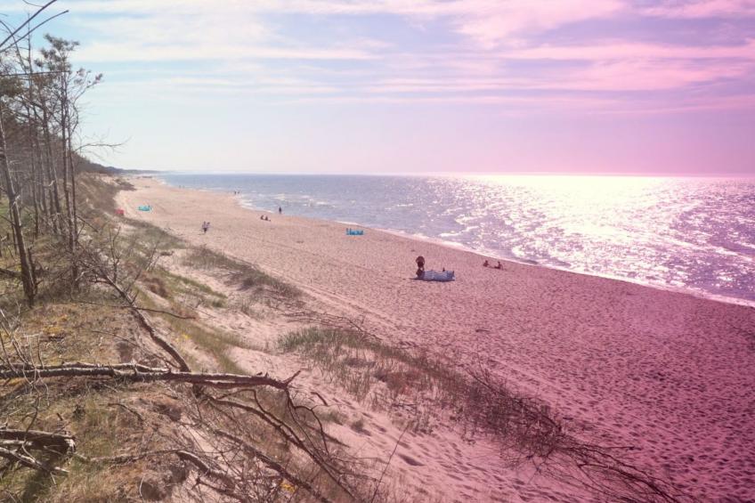 "Paradise Star Bobolin" - foto 27