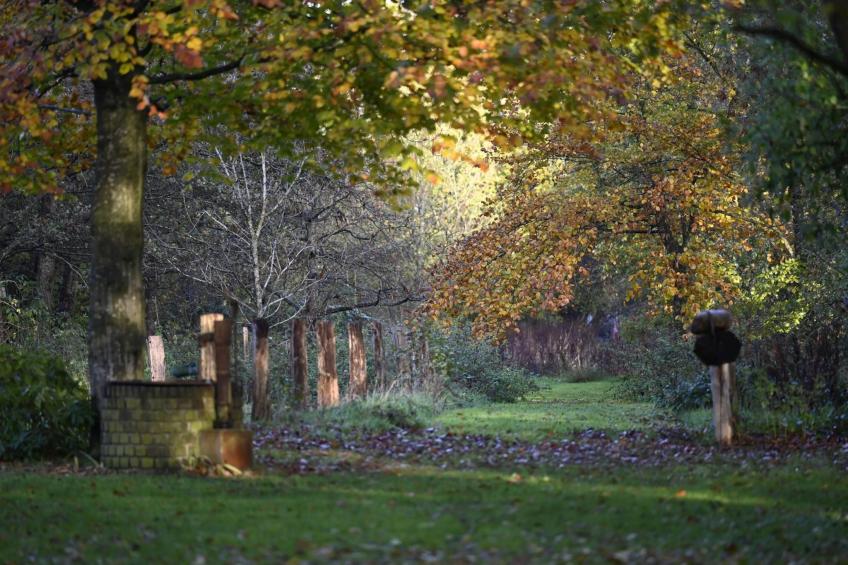de Binnenhof - foto 50