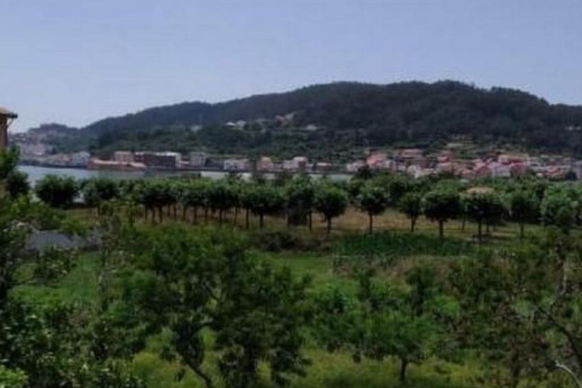 "Casa Das Mareas" (Haus der Gezeiten) - foto 30