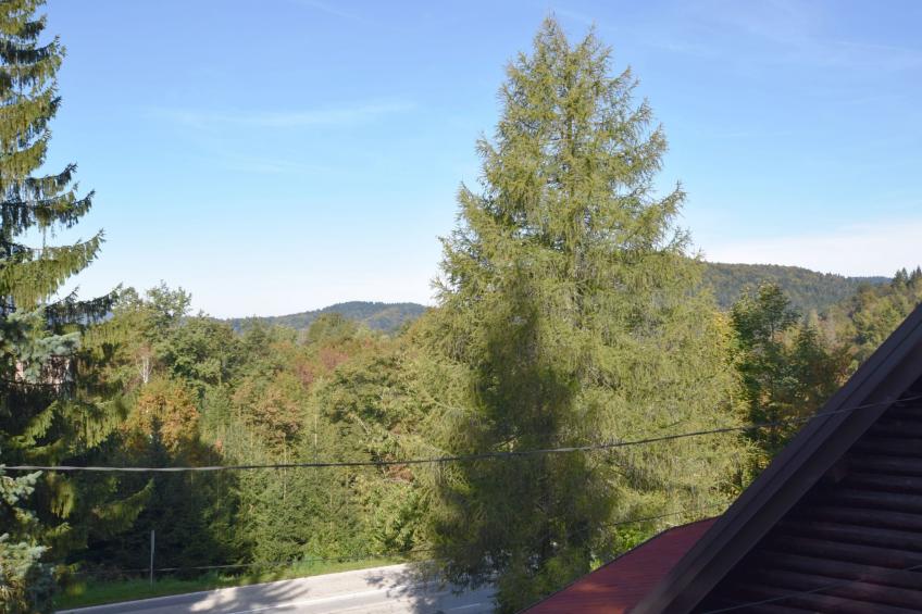 mit Terrasse, Grill und Garten - foto 22