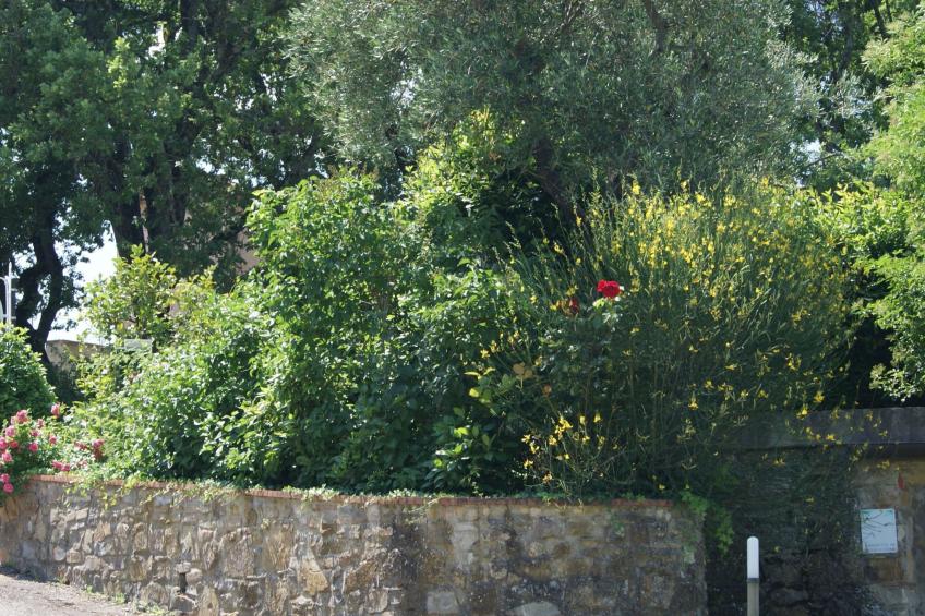 Wohnung mit Privatparkplatz und schöner Aussicht - foto 36