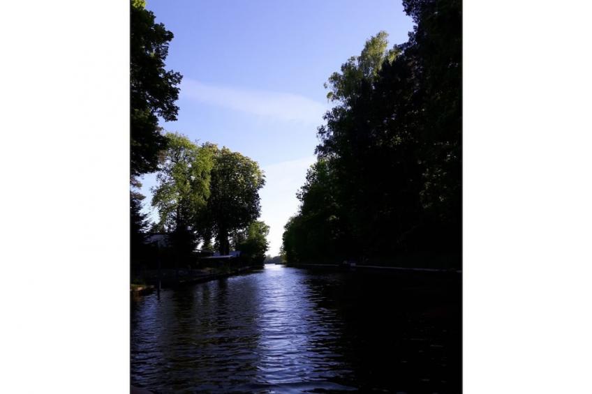 179227 - foto 18