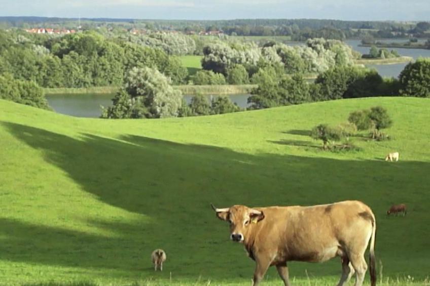 Großzügige Ferienwohnung mit toller Aussicht - foto 8