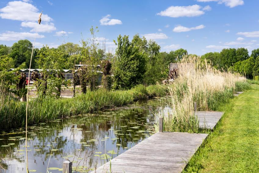 Polder - foto 26