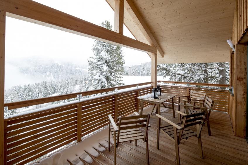 Alpenpark Turracherhöhe - foto 31