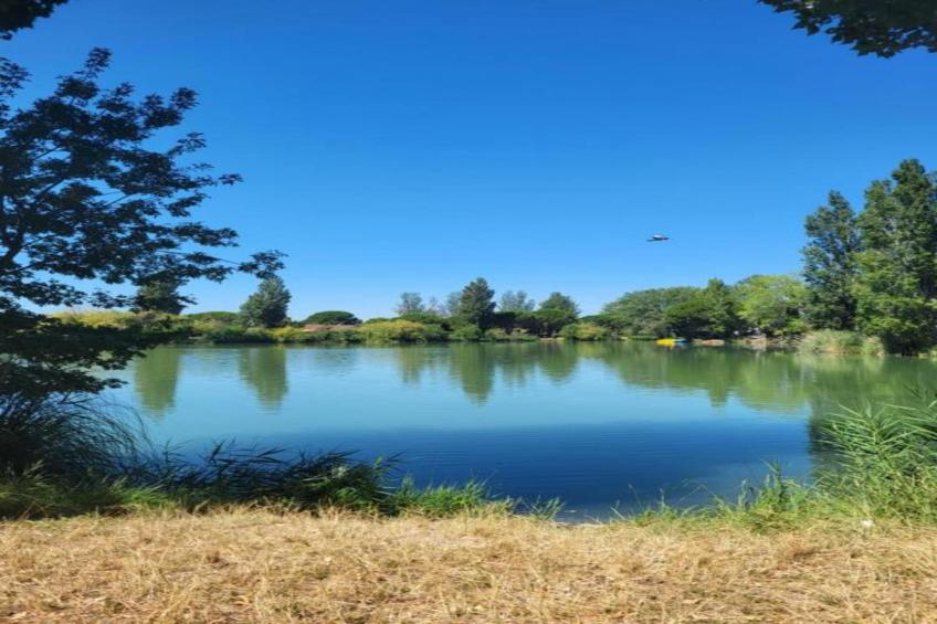 Le village Camarguais Les Gardians - foto 23