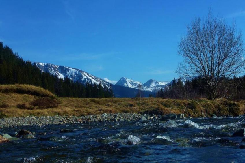 V du Bachat Arolles A n°26 - 2P4 - foto 22