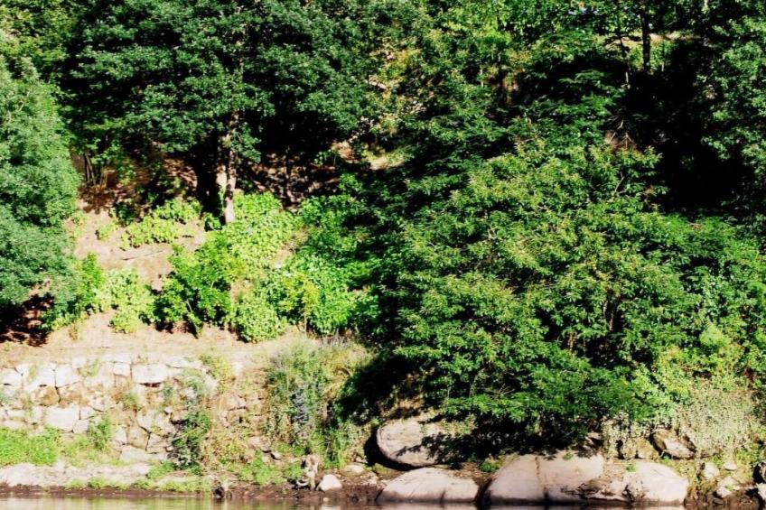 Villa "River Cottage" mit Blick auf das Wasser - foto 22