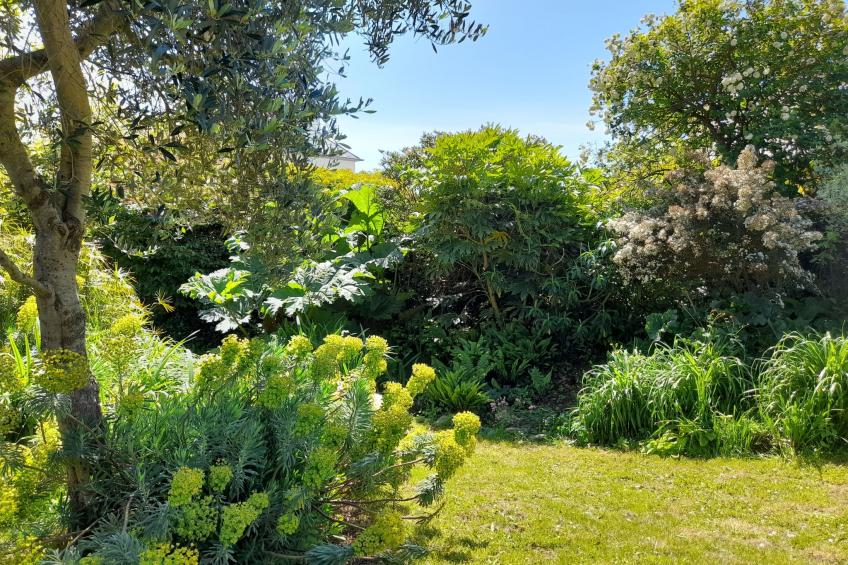 Kleine Wohnung in großem Familienhaus - foto 20