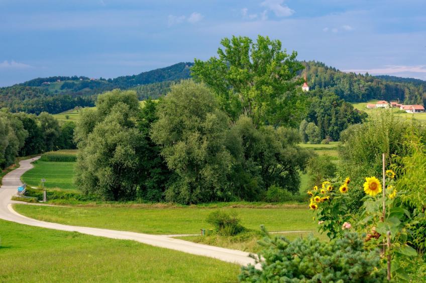 VILLA KATARINA - foto 8