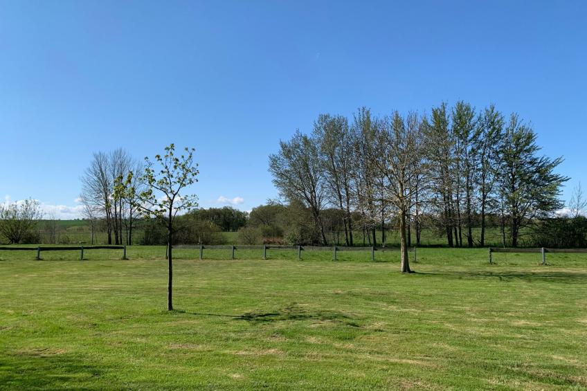 Moderne 2-Zimmer Ferienwohnung mitten in der Natur - foto 37