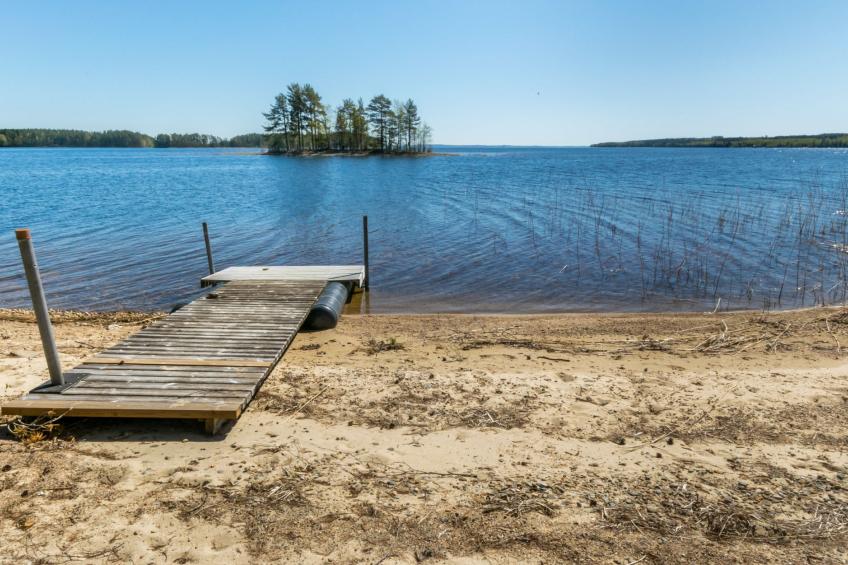 Villa pyöriäinen - foto 39