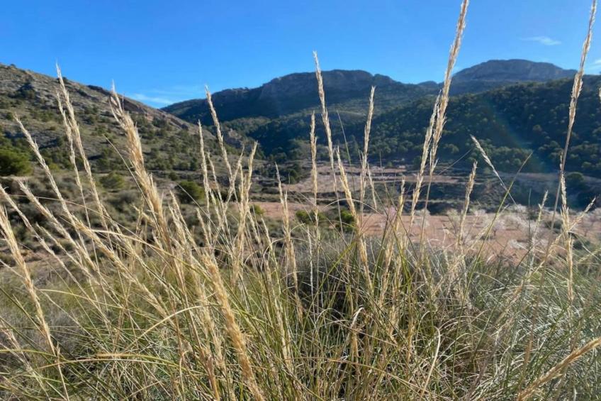 Villa Raprodet - foto 36