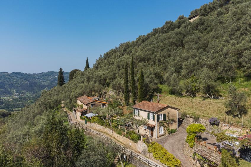 Il Glicine - foto 3