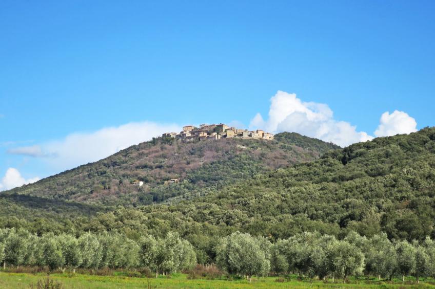 Agriturismo Podere Noé (ROC420) - foto 34