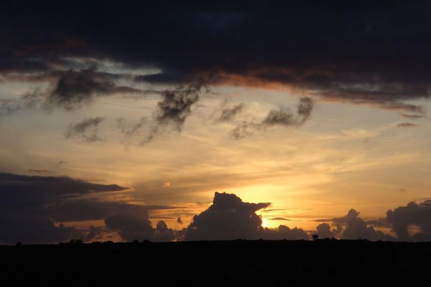 Chez joséphine frisch renoviertes bretonisches Haus - foto 14