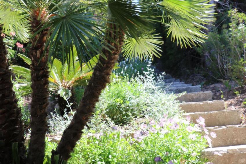 Wohnung "Mesomax RDC" in Strandnähe mit Meerblick - foto 32