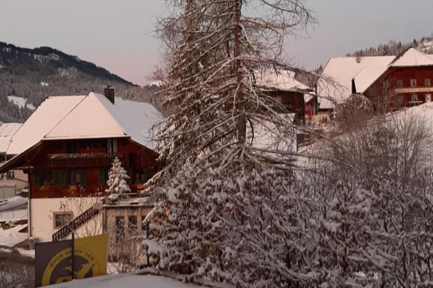 Kirchmatte - foto 16