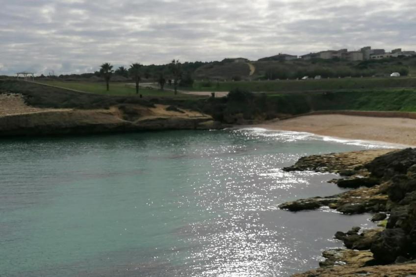 IL DELFINO - foto 34