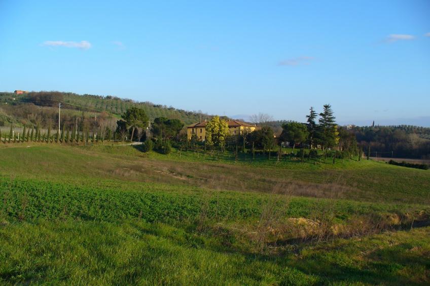 Da Vinci Sei - foto 29