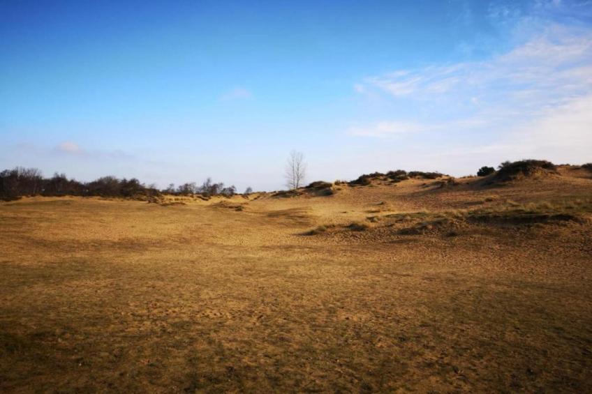 WESTDIEP/WEST31 - foto 17