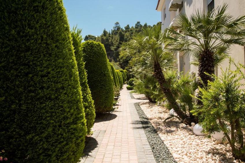 in Pallini mit Eigenem Balkon - foto 17