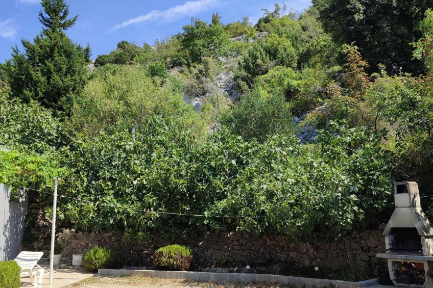 mit Meerblick - foto 8