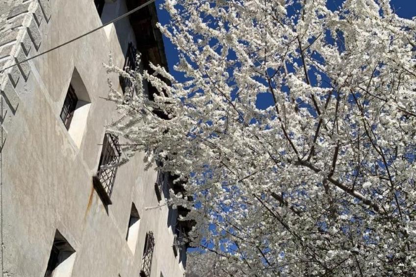 Tausend Steine Haus - foto 31