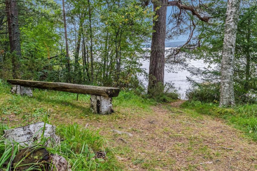 Säästöloma 5 c 10 by bomba - foto 21