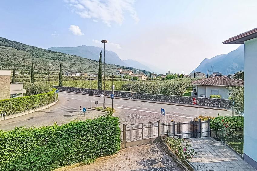 Riva Olive - foto 12