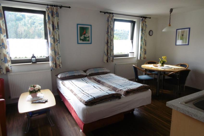 in Waldbreitbach mit Whirlpool - foto 6