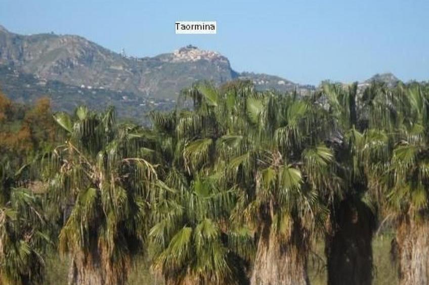 'Fiumefreddo Oasis - foto 26