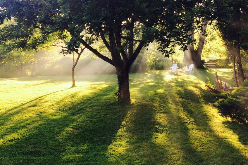 The Water Mill of Tourteron - foto 35