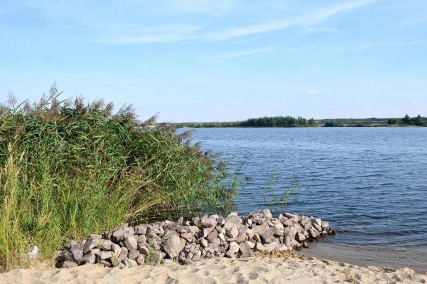 Apartment Eilenburg - foto 30